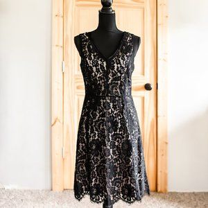 The Loft Dress Size 6 Ann Taylor Black Lace V-Neck Fit and Flare